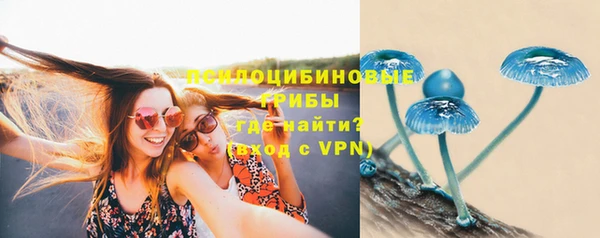 ПСИЛОЦИБИНОВЫЕ ГРИБЫ Аркадак